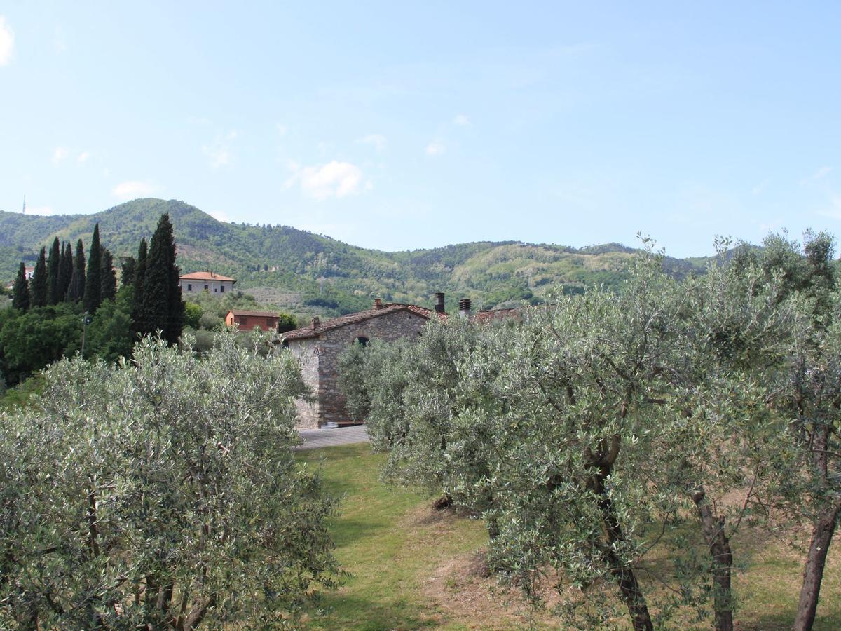 Belvilla By Oyo La Casa Dei Cinque Olivi Quarrata Buitenkant foto