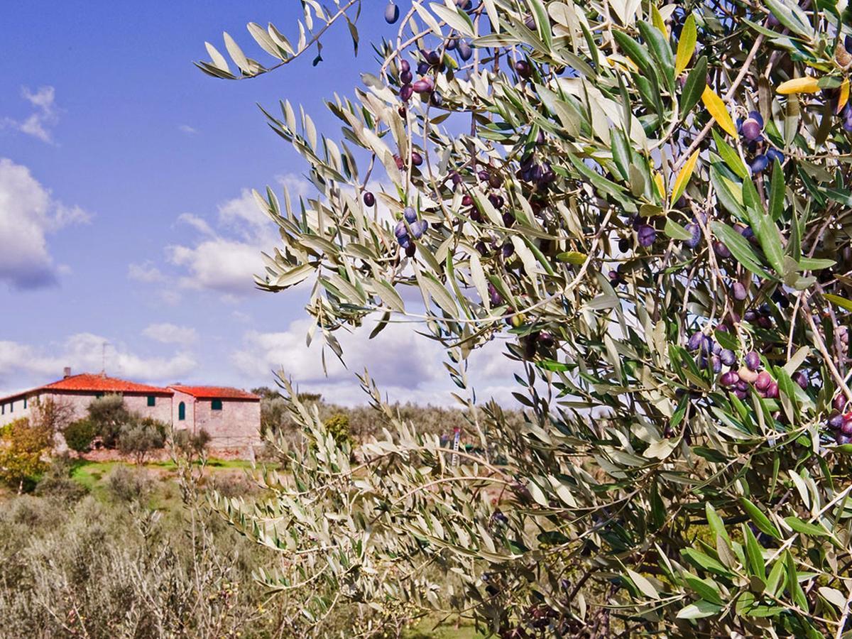 Belvilla By Oyo La Casa Dei Cinque Olivi Quarrata Buitenkant foto